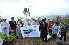 Đầu năm, chùa trồng rừng, kêu gọi bảo vệ môi trường